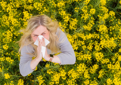 Cele mai bune remedii contra alergiilor