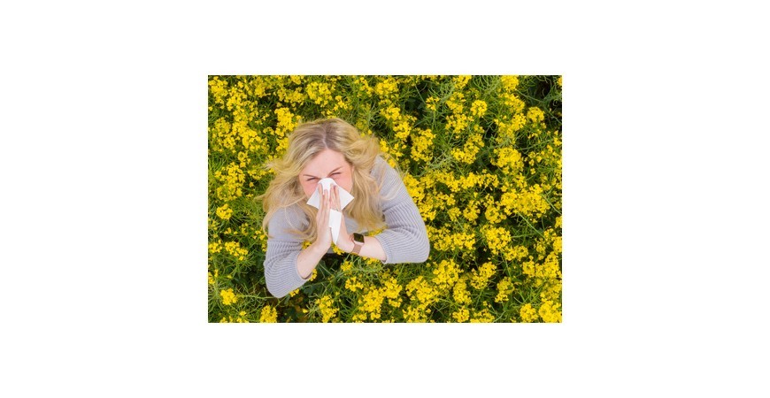 Cele mai bune remedii contra alergiilor