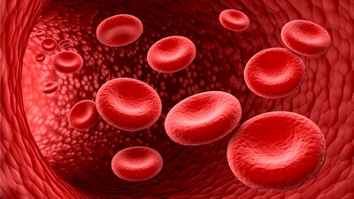  Un nou tratament cu globule roșii contra cancerului