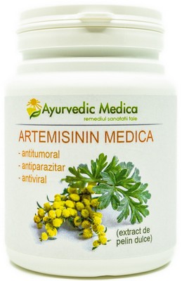 Artemisinin Medica, pelin dulce